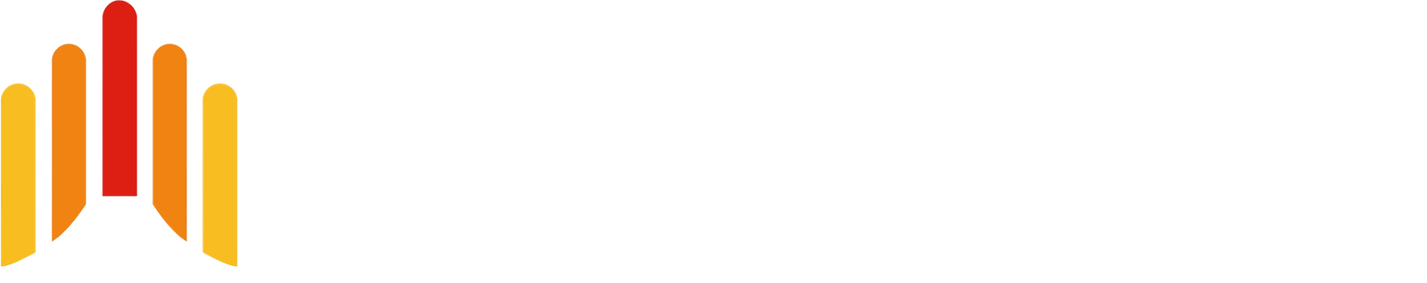 ibs logo white